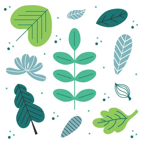 leaf vector illustrator